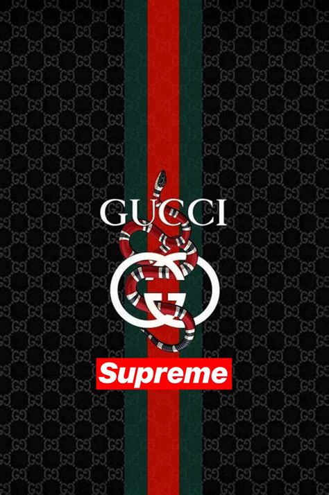 supreme gucci meme|Supreme In Many Ways GIF .